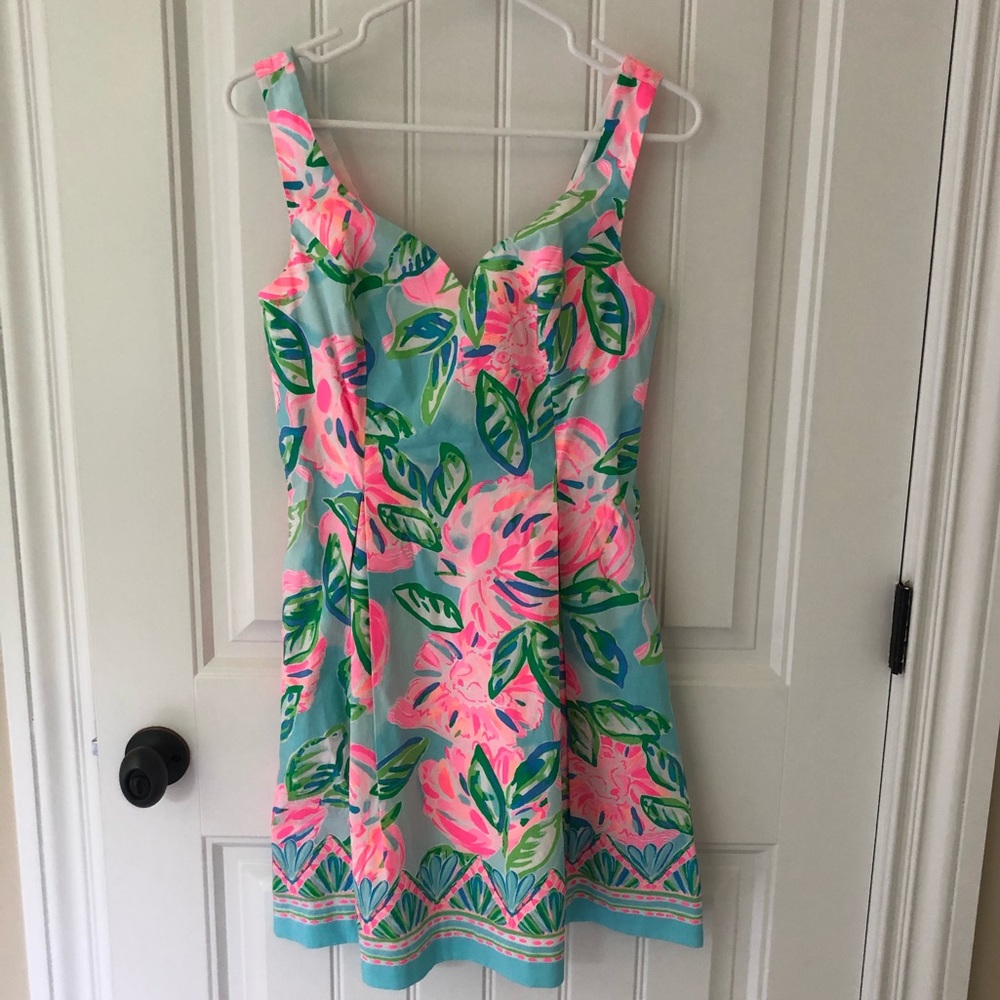 Size 2 Lilly Dress